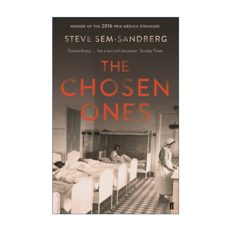 英文原版小说 The Chosen Ones 被选择的孩子 瑞典作家史蒂夫·塞姆-桑德贝里 二战小说 英文版 进口英语原版书籍