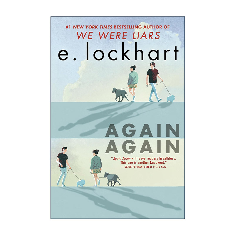 英文原版 Again Again 再一次 We Were Liars说谎的人作者E. Lockhart 英文版 进口英语原版书籍