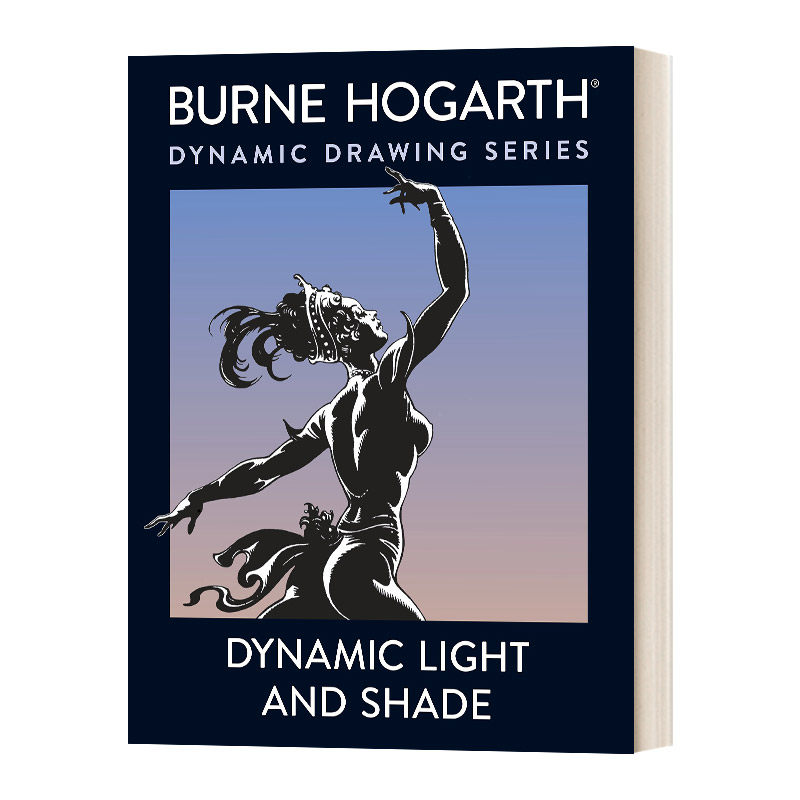 英文原版 Dynamic Light and Shade 动态的光和影 英文版 进口英语原版书籍