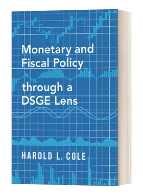 英文原版 Monetary and Fiscal Policy through a DSGE Lens 基于DSGE模型的货币与财政政策 英文版 进口英语原版书籍