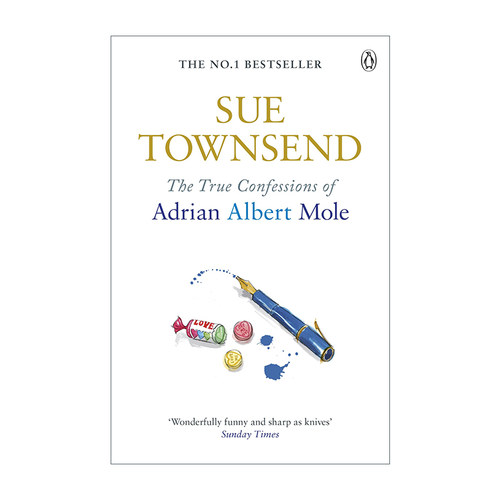 英文原版小说 True Confessions of Adrian Mole 少年阿莫的秘密日记3 阿莫的真实自白 苏.唐珊 英文版 进口英语原版书籍