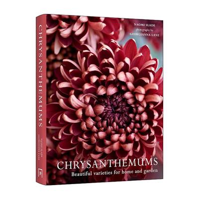英文原版 Chrysanthemums Beautiful Varieties For Home and Garden 菊花 适合家庭和花园的美丽品种 精装花卉画册 英文版