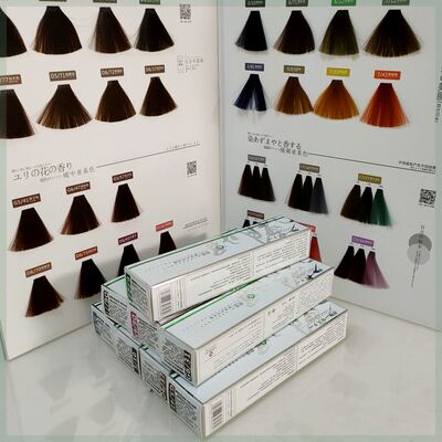 发廊专用网红微日系潮色生活色海露潮爆单支染膏100ml发廊理发店