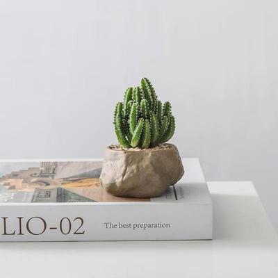 简约桌面防辐射好养多肉绿植