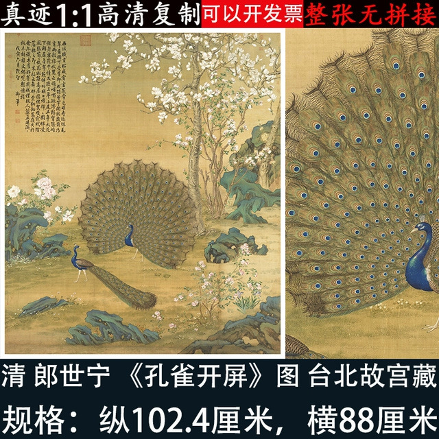 郎世宁孔雀开屏图高清微喷绘复制花鸟学习临摹客厅绢布装饰挂轴画图片