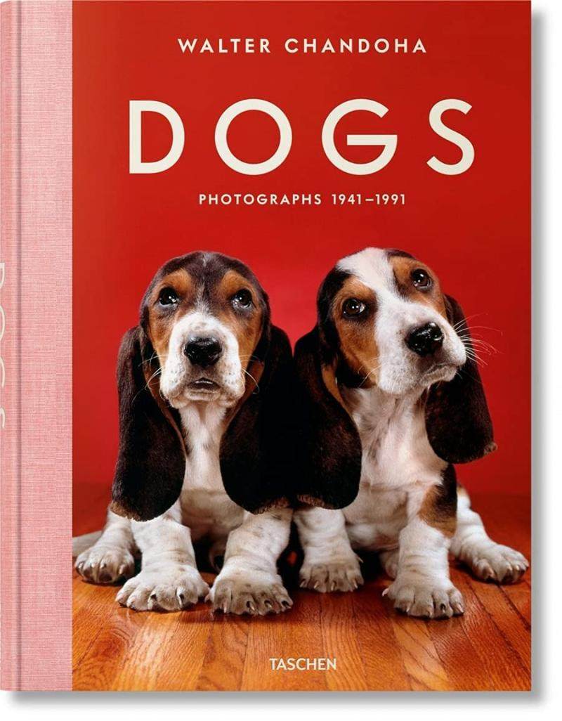 dogs. photographs 1941–1991  沃尔特尚多哈:狗狗摄影集