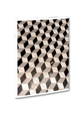 现货 321  Roe Ethridge 巴黎视觉日记 摄影语言 摄影集