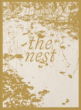现货 Lynn Alleva Lilley – The Nest 摄影集