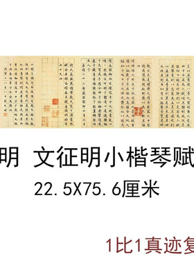 文征明小楷琴赋古代字画真迹绢布