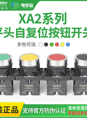 施耐德XA2塑料按钮XA2EA11/21/31自复位平头按钮 带符号平头按钮