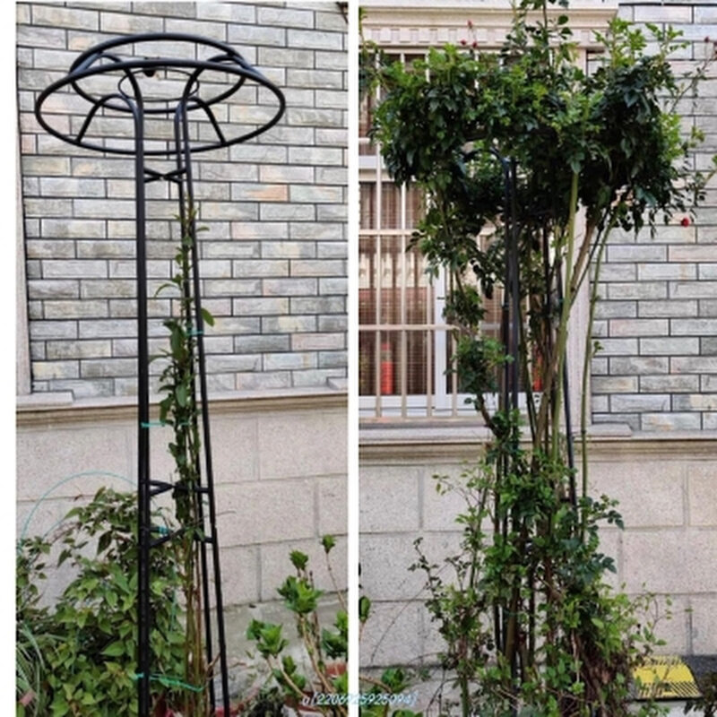 现货速发伞型花架铁艺爬藤架花园室外庭院欧式落地式蘑菇藤架园艺
