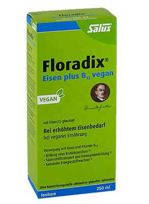 Floradix 铁元 补铁维生素B12心血管滋养口服液 250ml