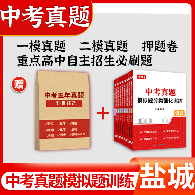 盐城中考真题卷2025总复习资料