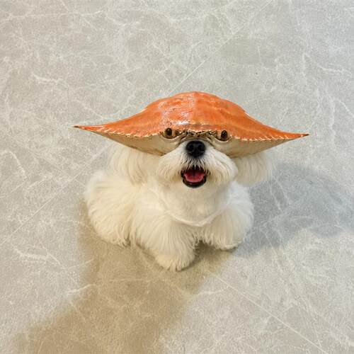收手吧阿祖梭子蟹3D打印头套