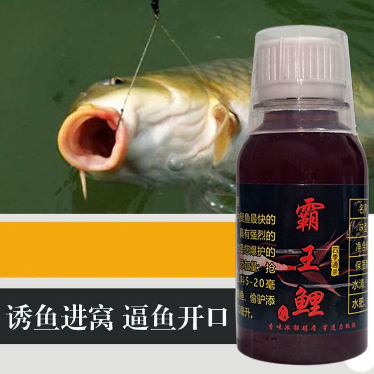 秋冬季饵料一瓶搞定开口剂钓鱼小药霸王鲤专攻小药黑坑野钓添加剂