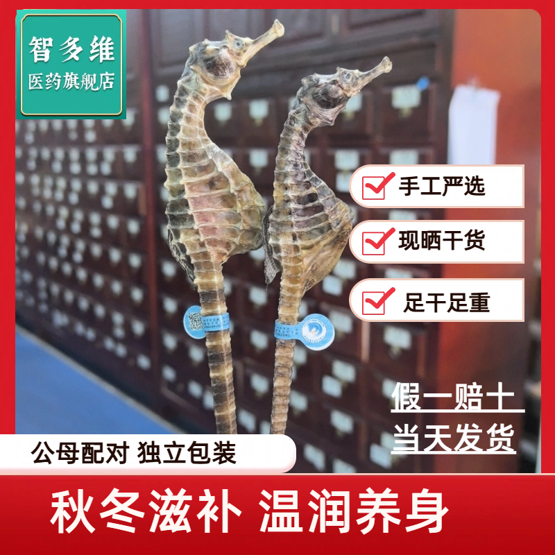 中药材海马干货海马一公一母配对泡酒海龙药典煲汤雌雄一对药饮片
