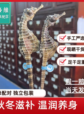 中药材海马干货海马一公一母配对泡酒海龙药典煲汤雌雄一对药饮片