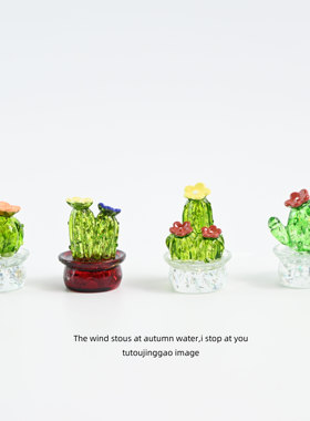 无聊了！仙人掌盆栽摆件