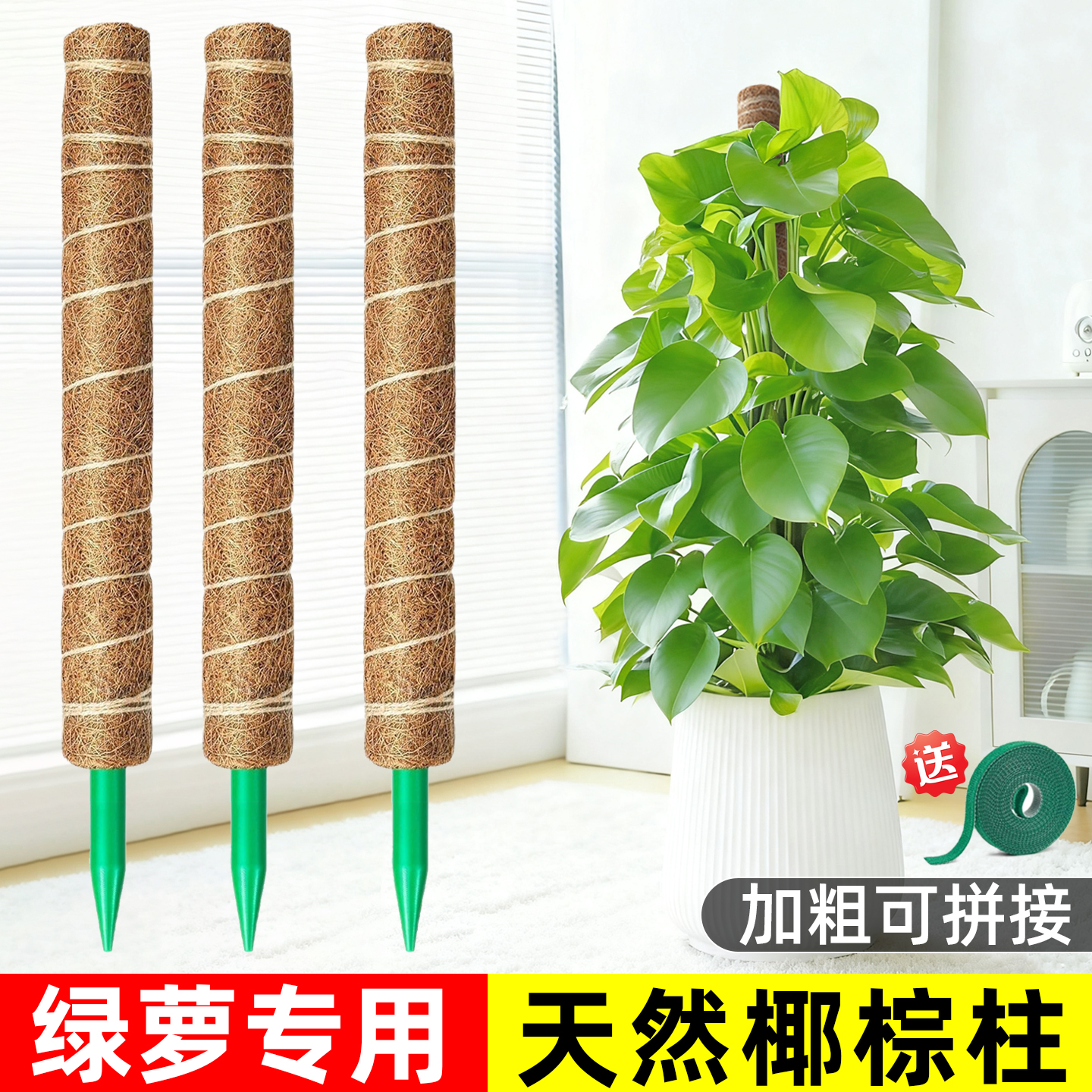 大叶绿萝爬藤架水苔柱植物攀爬固定神器棕榈柱椰棕棒龟背竹支撑杆