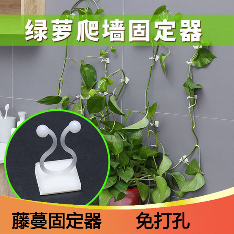绿萝爬墙神器家用绿植固定器室内无痕墙上攀爬卡扣环藤蔓定型挂钩