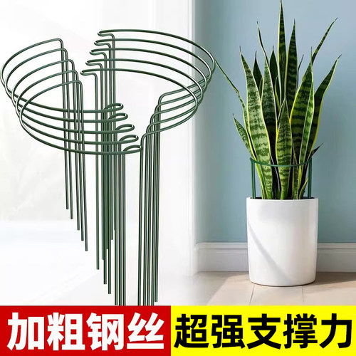 花架支撑杆防倒伏爬藤支架
