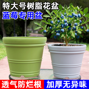 种树大花盆塑料加厚仿陶瓷大口径庭院特大圆形50cm月季 果树蓝莓盆
