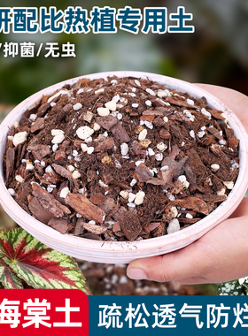 秋海棠专用土种花泥土竹节多色鳟鱼龟背竹种植泥炭土壤热植营养土