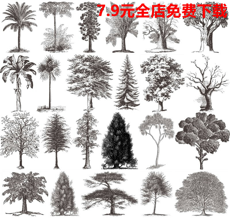 黑白铅笔画线稿素描临摹素材树木树林ai矢量png免抠设计素材