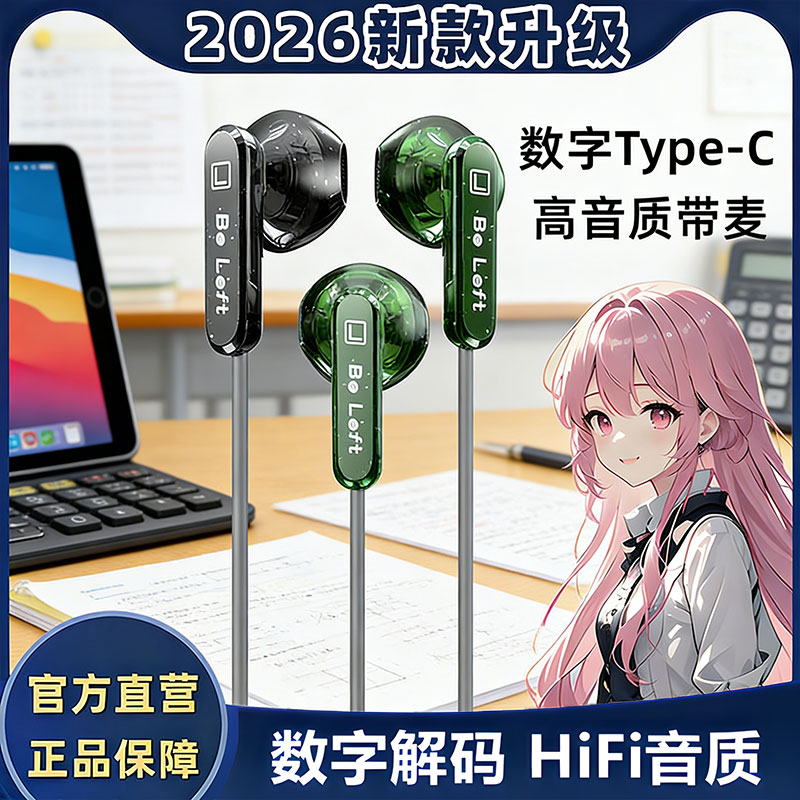 ipad2025新款有线耳机typec数字