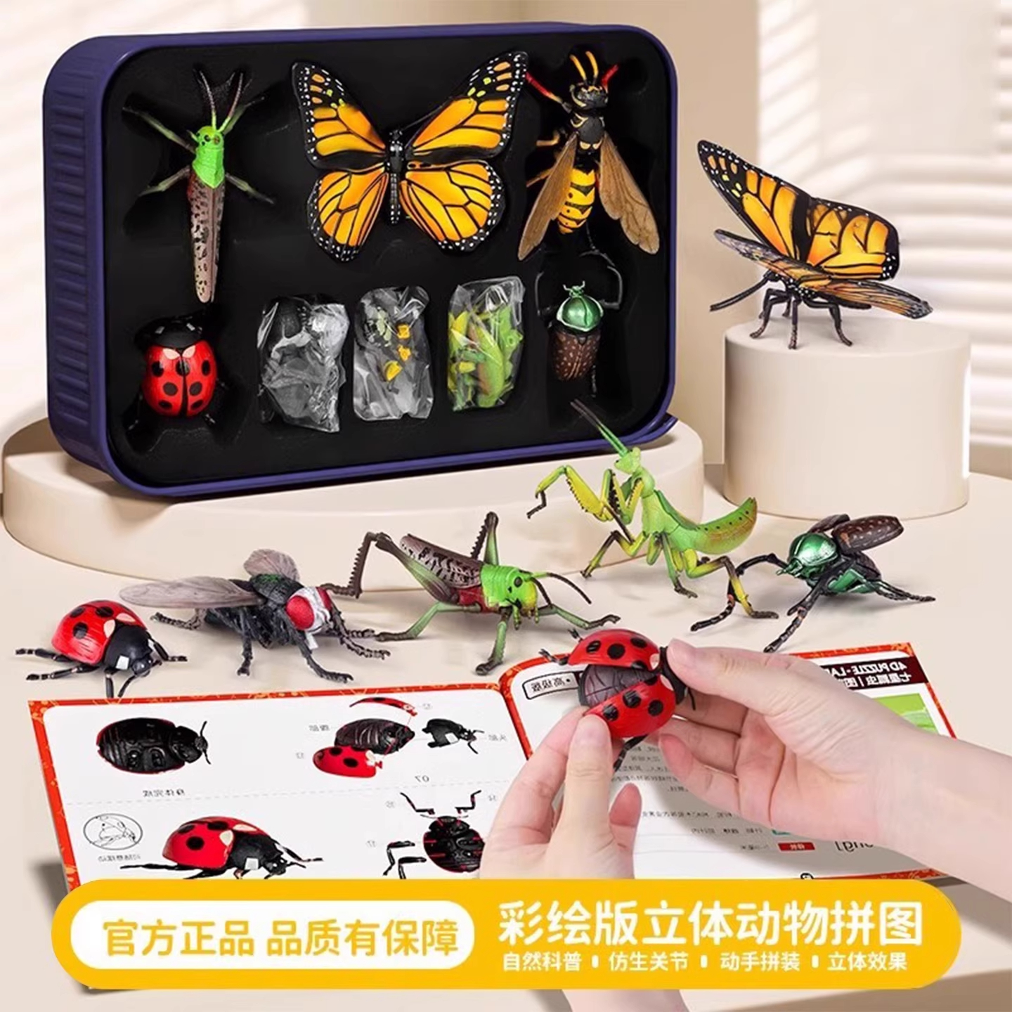 动物拼装模型4d立体昆虫积木玩具