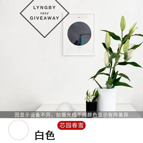 乳胶漆内墙室内家用环保无甲醛硅藻油漆墙面翻新修复防潮自刷涂料