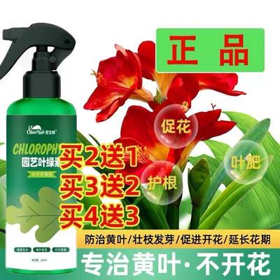 京植物秒营养液花肥官方直营旗舰店肥料水培盆栽树通用治叶黄