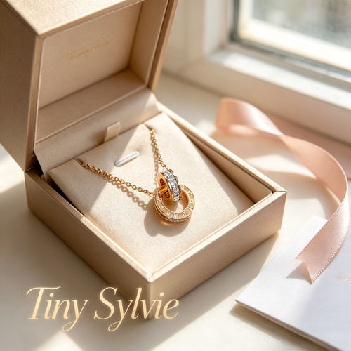 Tiny Sylvie可水洗镶钻幸运环轻奢锁骨链女极简约气质百搭项链