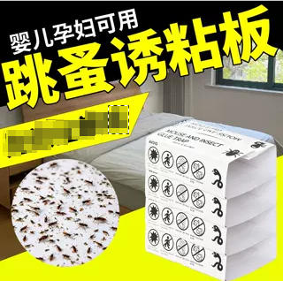 跳蚤粘板家用床上宠物虱子强力安全粘虫板飞虫果实蝇蟑诱捕器