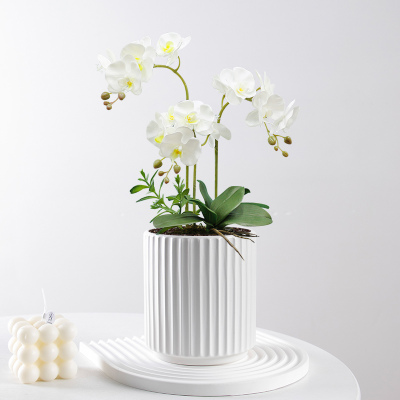 花盆陶瓷阳台家用蝴蝶兰专用清仓特价亏本小号虎皮兰多肉绿植花盆