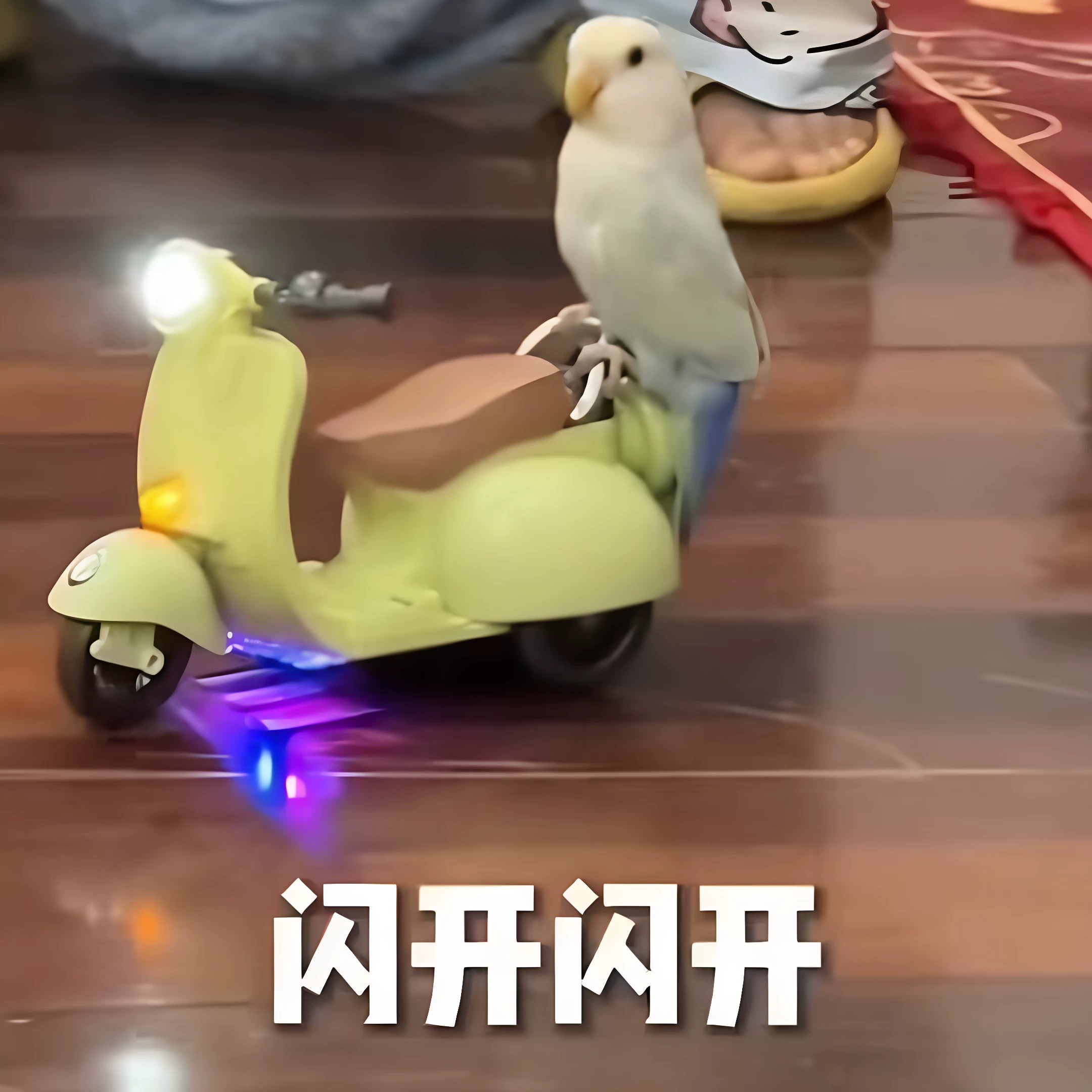 鹦鹉特技摩托玩具车宠物小鸟骑行电动三轮车旋转炫技互动训练用品