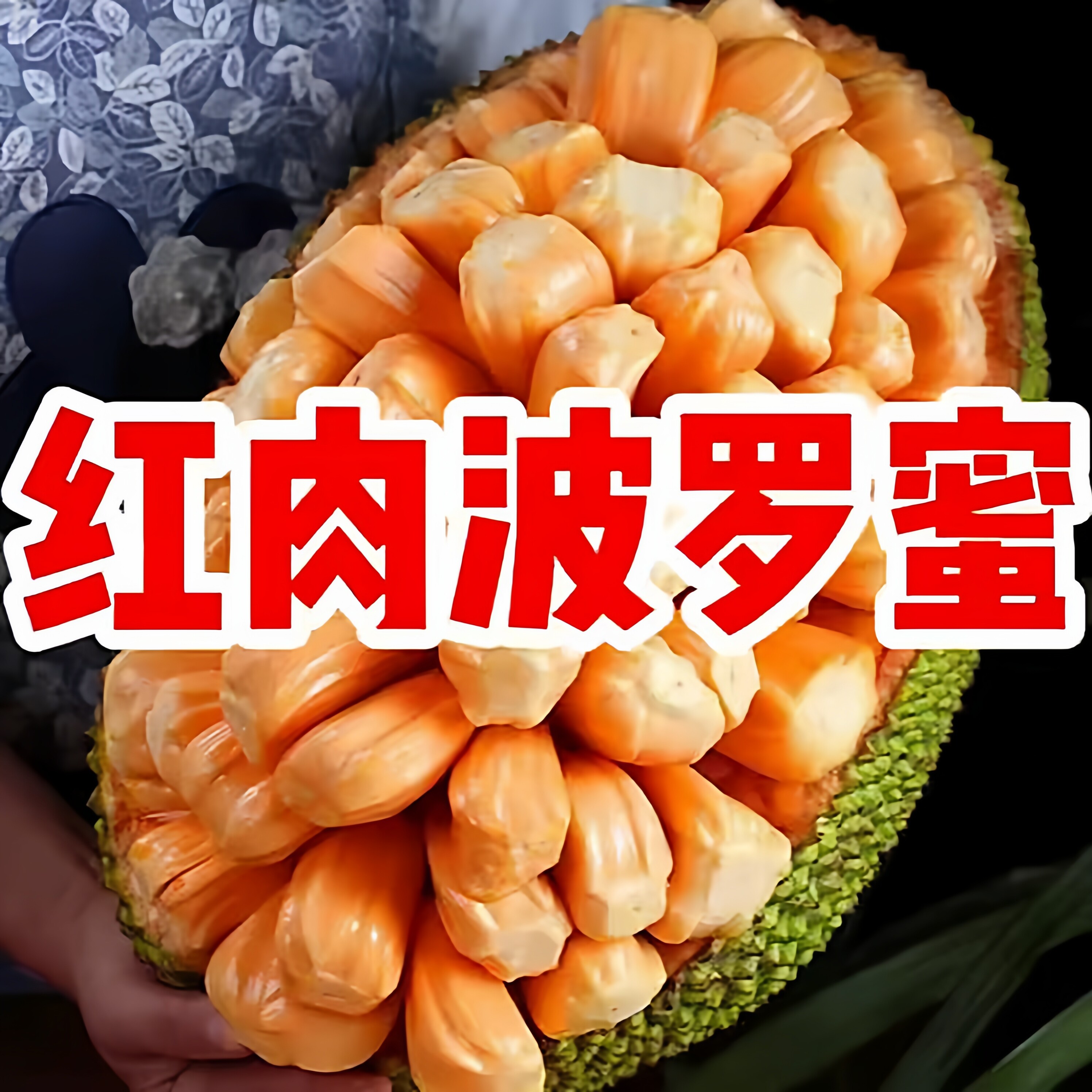 海南红肉菠萝蜜一整个现摘现发孕妇新鲜水果老树木菠萝整箱