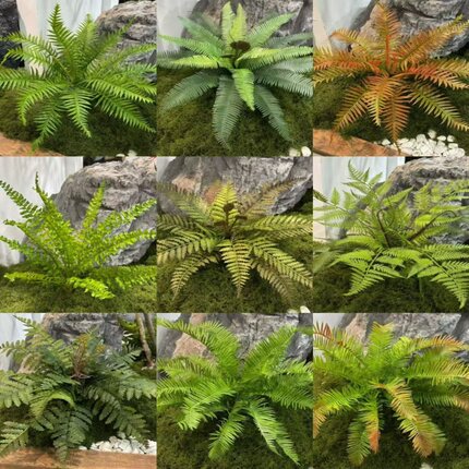 仿真蕨叶类排草蕨类波斯草植物蕨叶蕨草软胶植物墙波斯叶鱼尾蕨