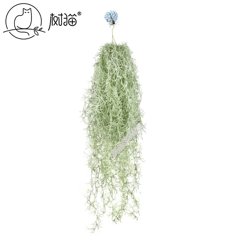 彷真空气凤梨草人造多肉diy假花吊兰室内装饰垂吊植物老人须松萝