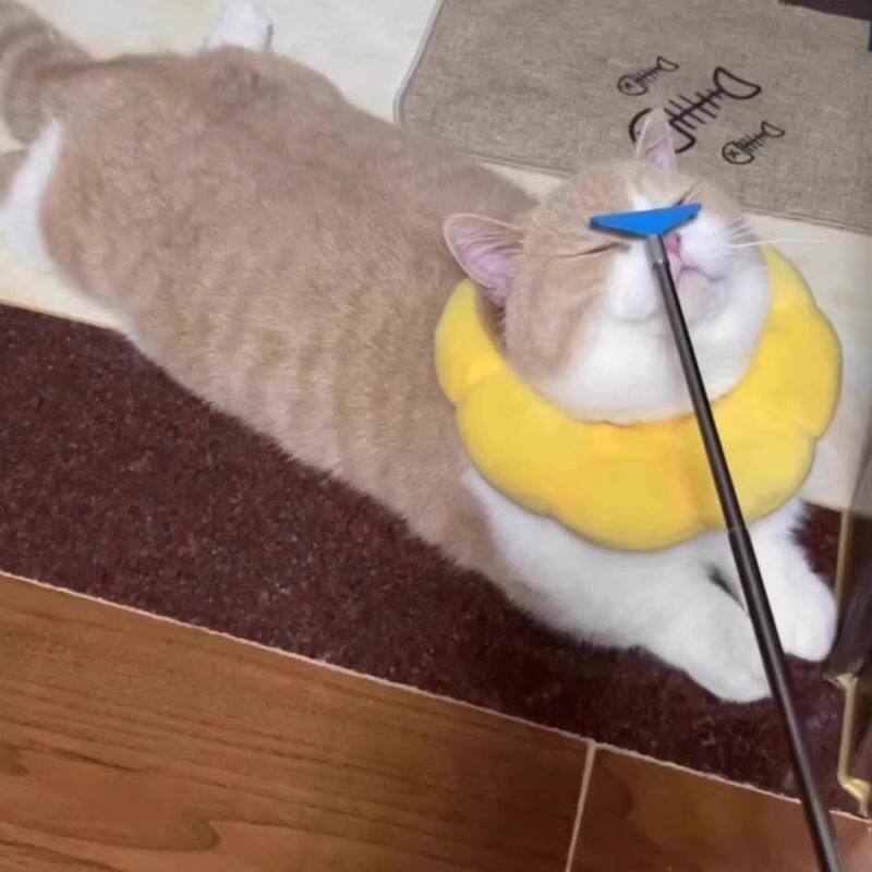 可伸缩梳子梳毛刷逗猫棒玩具猫咪按摩互动解闷痒痒挠抓痒撸猫神器