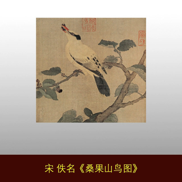 新品 宋 佚名 桑果山鸟图 宋画小品工笔花鸟画 临摹手稿装饰画