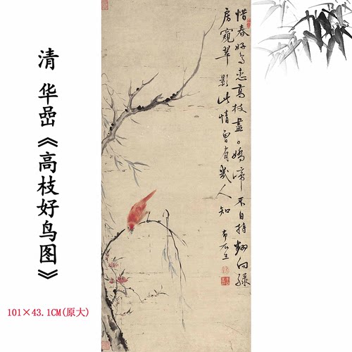 清华嵒《高枝好鸟图》花鸟图国画高清微喷复制中式装饰挂画临摹