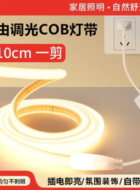 COB灯带220V插电带开关氛围灯带条自粘宿舍卧室床头可调光led灯条