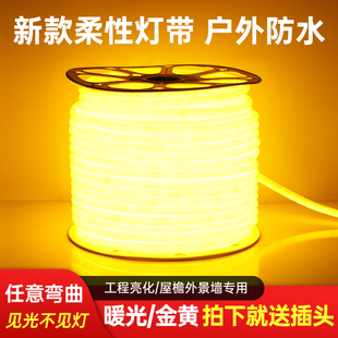 超亮金黄光柔性灯带220v户外防水工程亮化室外灯条霓虹氛围灯暖光