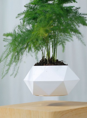 磁悬浮盆栽悬浮家居摆件工艺品送朋友同事上司创意生日礼物