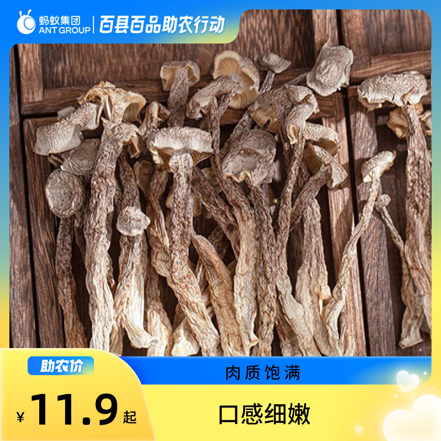 苍溪特产干货鹿茸菇菌菇煲汤鲜美火锅凉拌炖肉炖菜食材