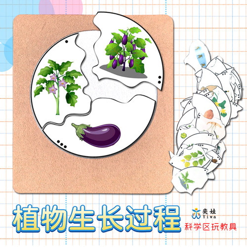 生长过程什么哪里来水秘密科学区