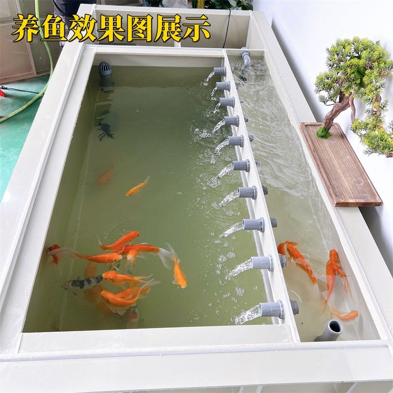 鱼缸水箱海鲜池循环过滤