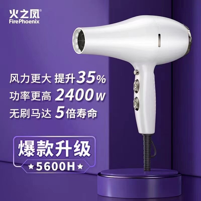 火之凤电吹风机发廊家用大功率图片