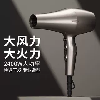 火之凤5610H电吹风速干无刷理发店专用发廊发型师家用大功率吹风